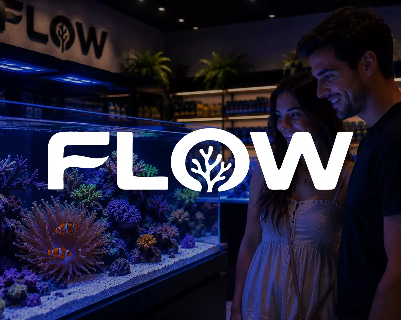 FLOW