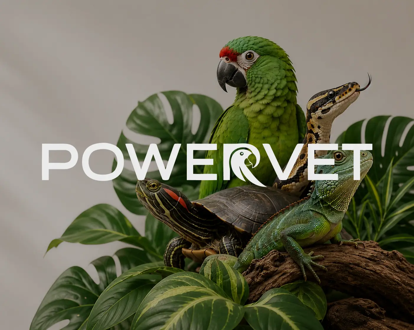 POWERVET